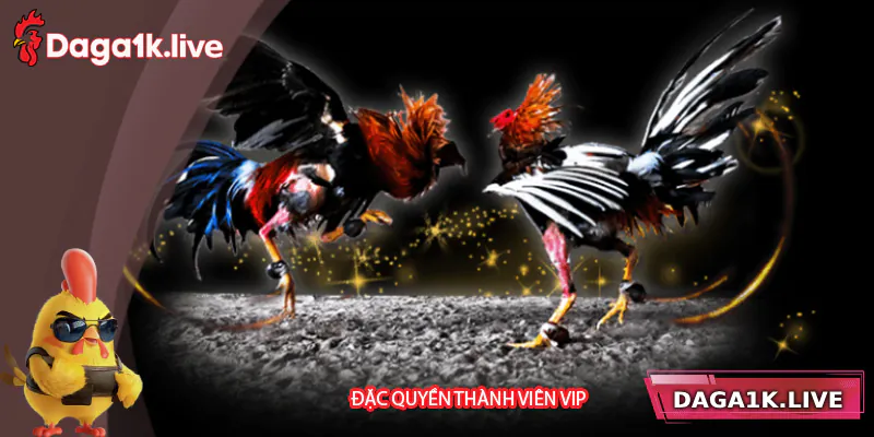 Các đặc quyền hấp dẫn cho thành viên VIP