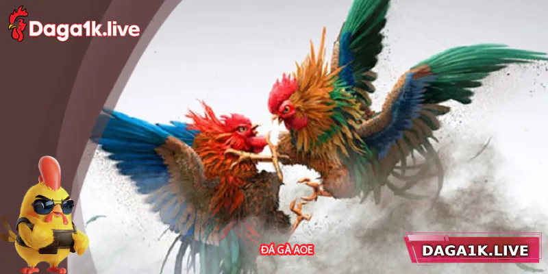 Đá Gà AOE – Trải Nghiệm Đá Gà Trực Tuyến Đỉnh Cao