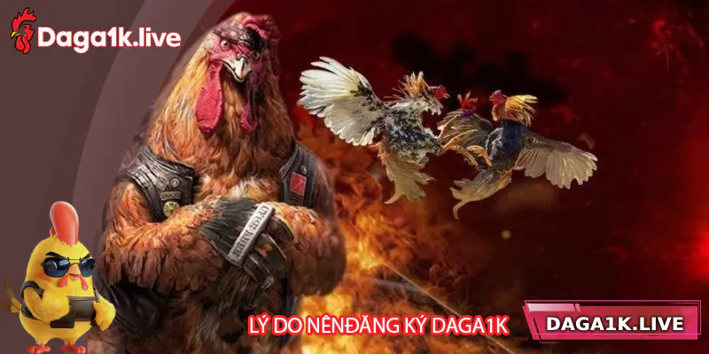 Lý do nên đăng ký tài khoản tại Daga1k